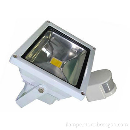 Shenzhen Lamp Manufacturer, 30W LED Floodlight with Sensor
